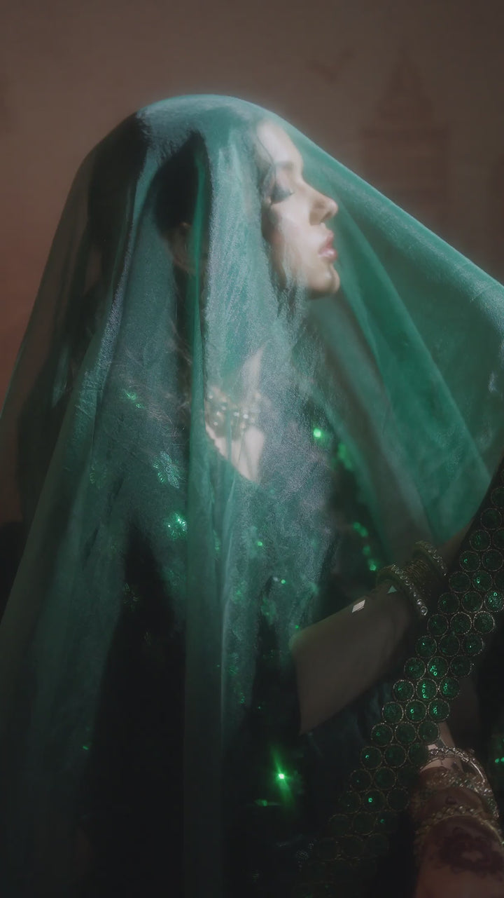 IV-60 Embroidered Velvet