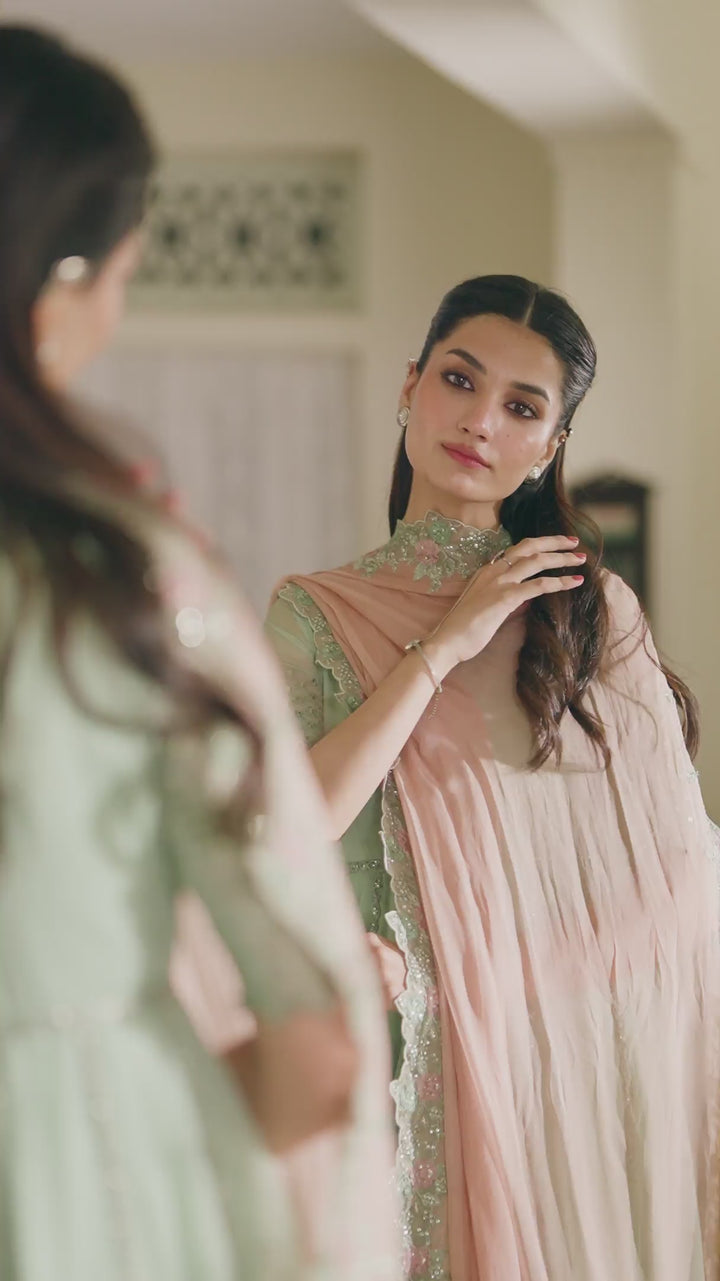 CC-99 Embroidered Chiffon