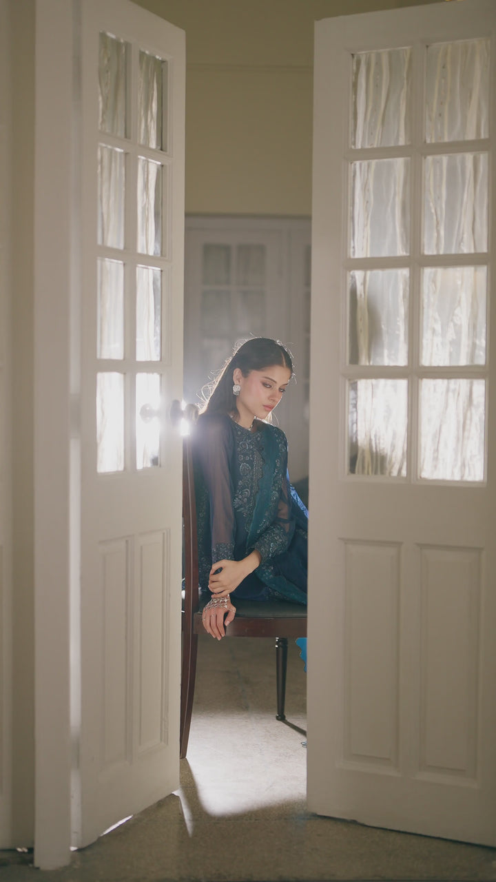 CC-94 Embroidered Chiffon