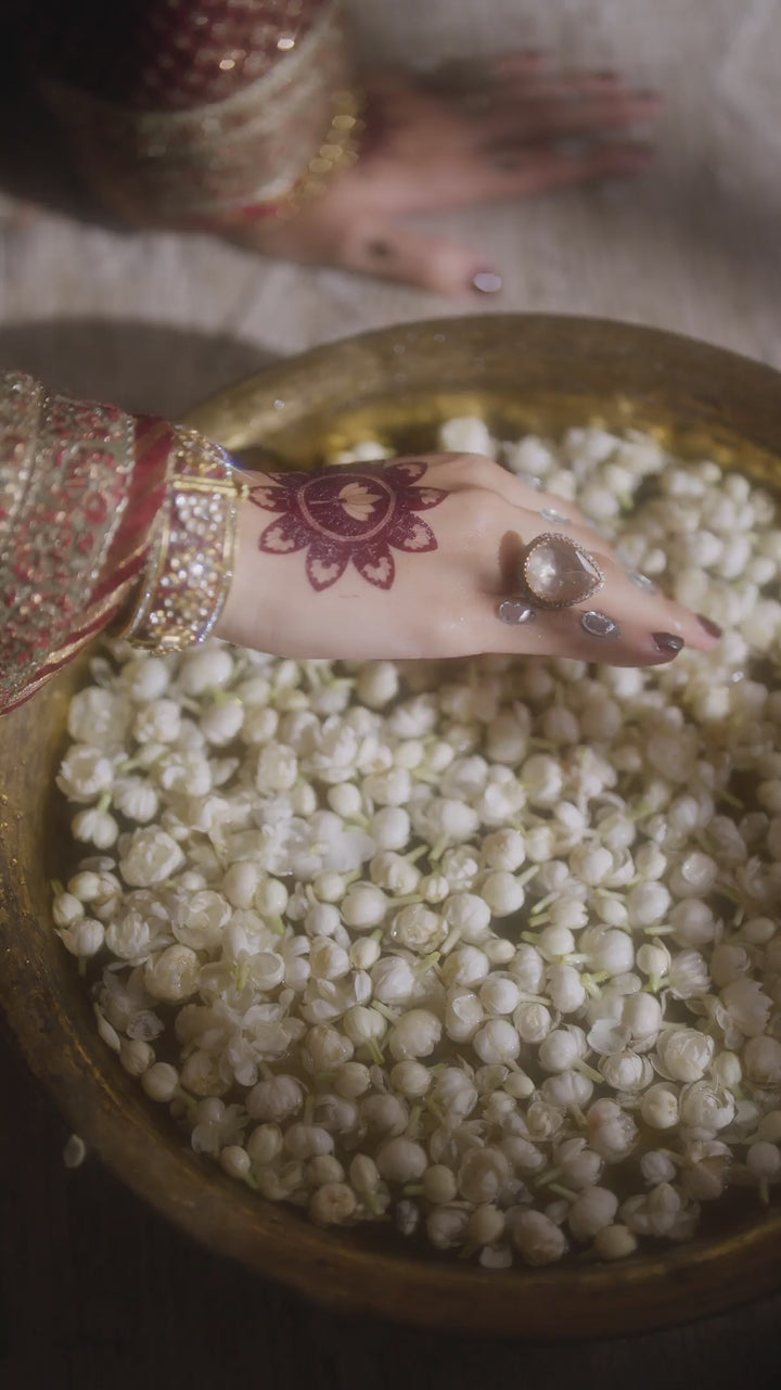 IV-55 Embroidered Velvet