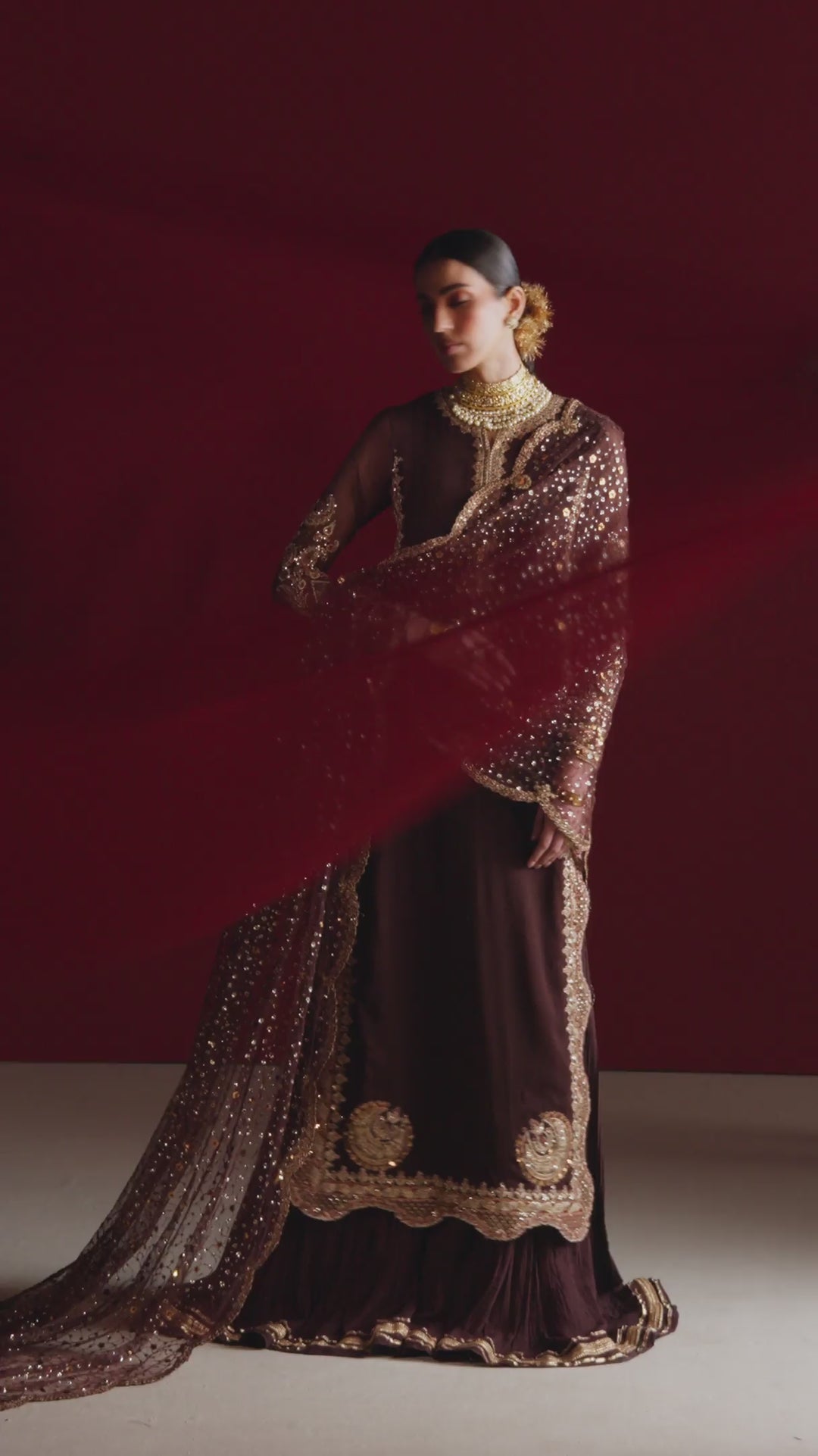 CC-113 Embroidered Chiffon