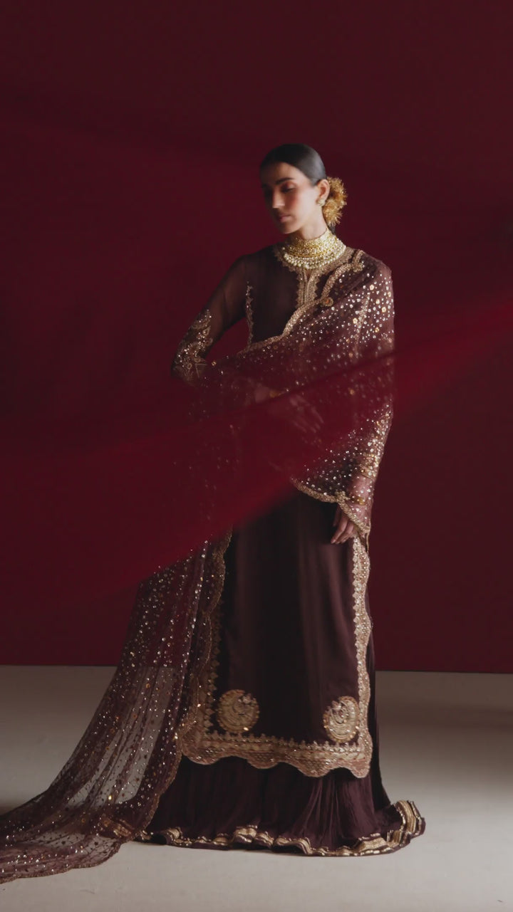CC-113 Embroidered Chiffon