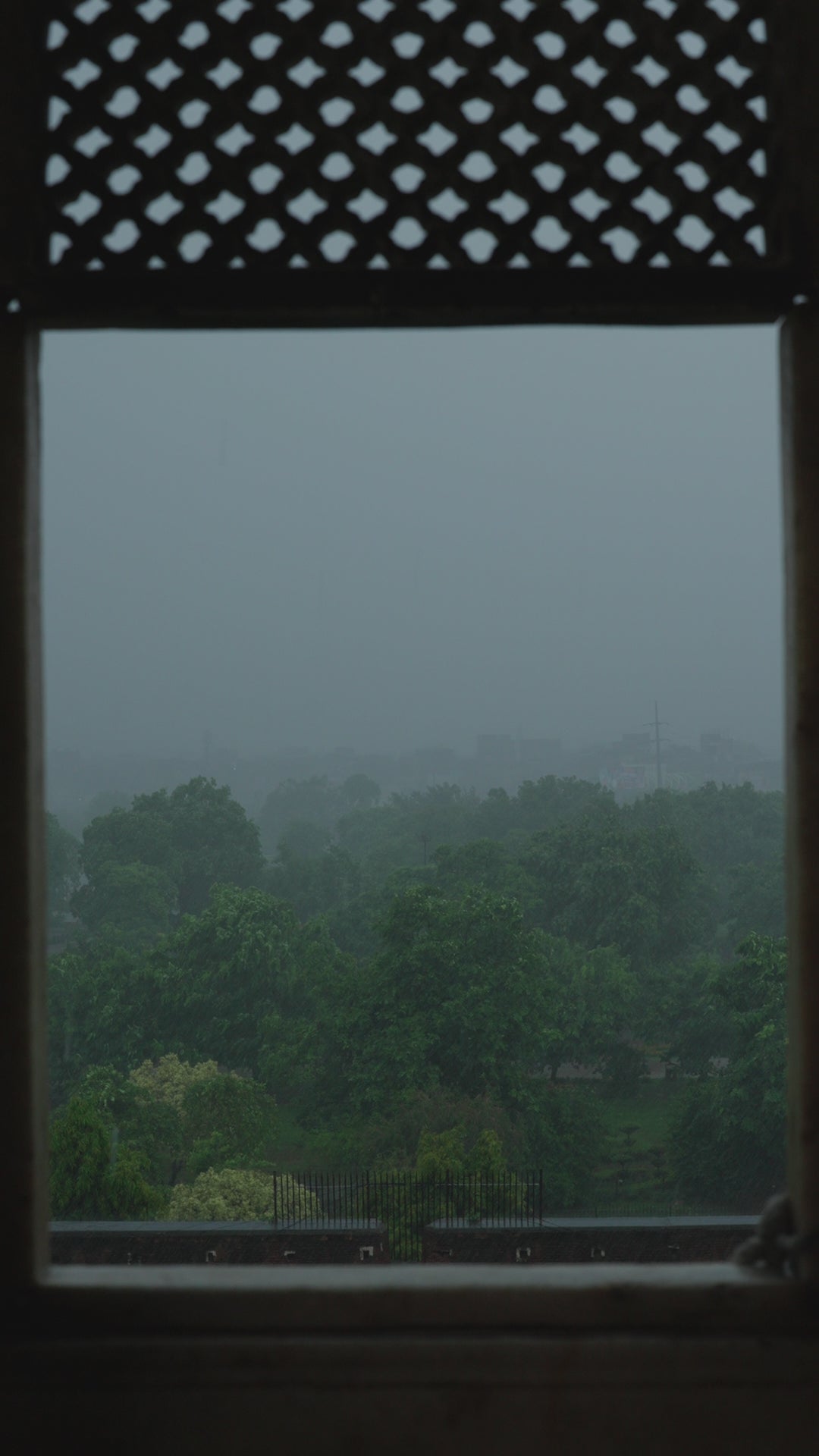 UE-553 Embroidered Net