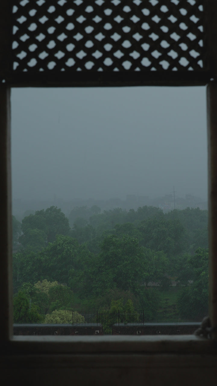 UE-553 Embroidered Net