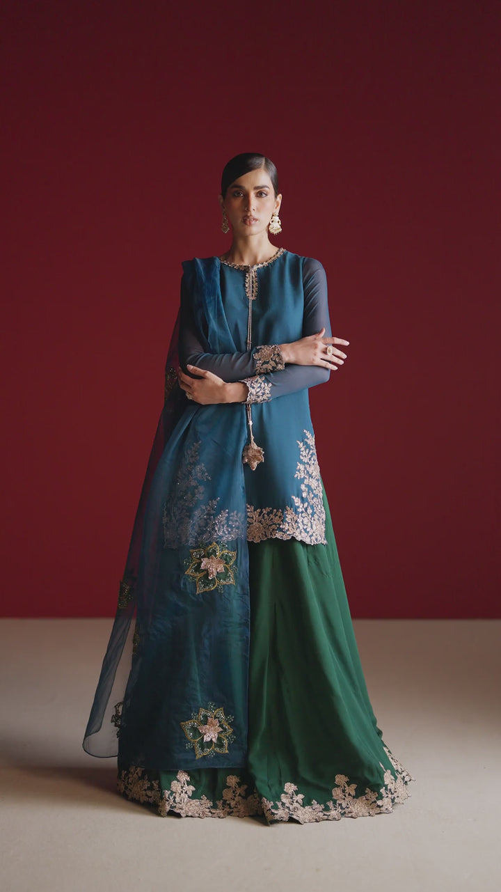 CC-102 Embroidered Chiffon