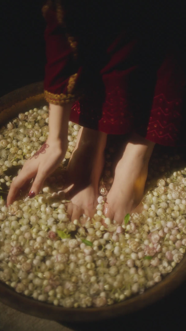 IV-58 Embroidered Velvet