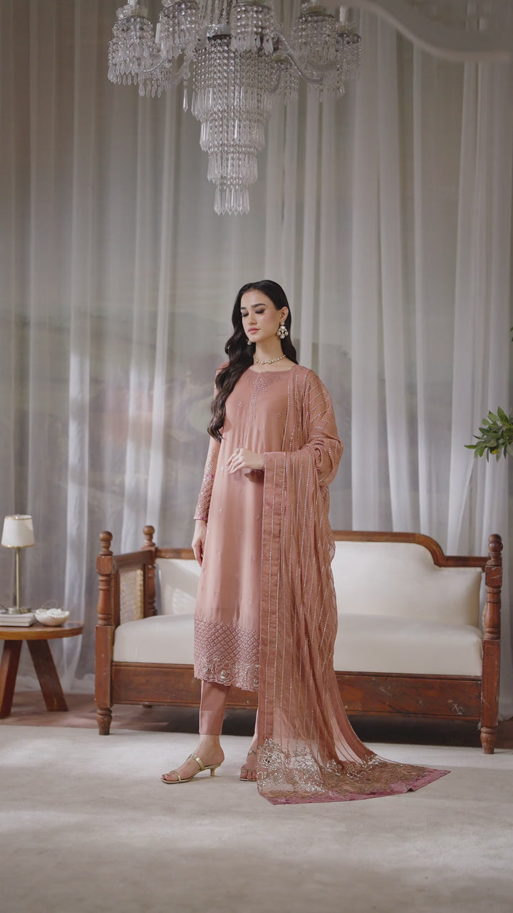 CC-87 Embroidered Chiffon