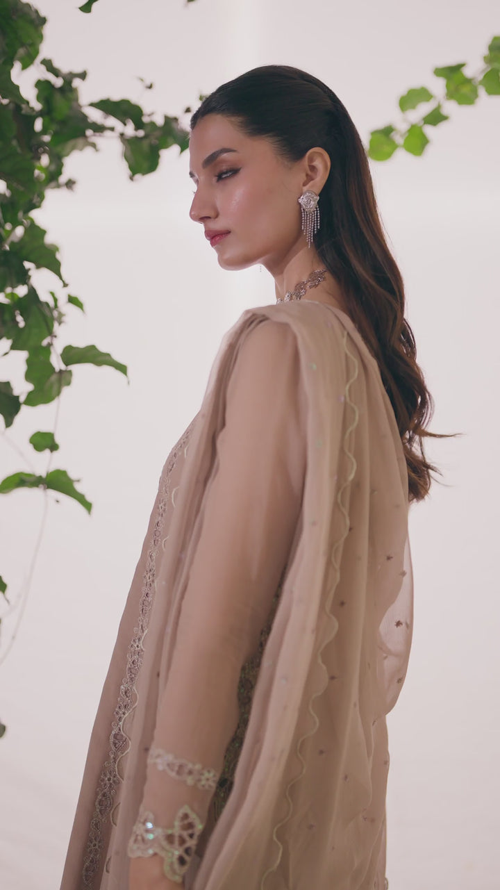 CC-92 Emboidered Chiffon